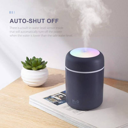 H2O Humidifier