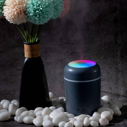 H2O Humidifier