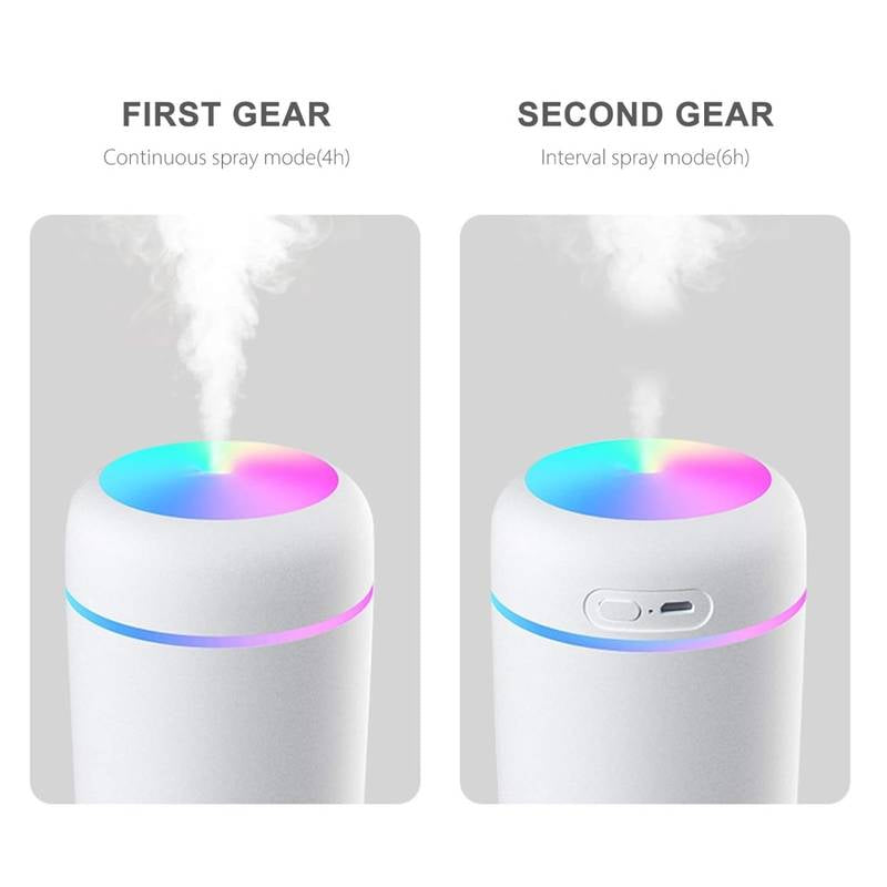 H2O Humidifier